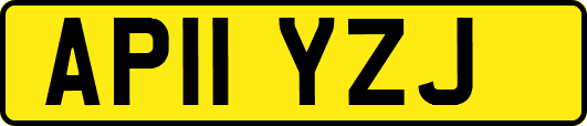 AP11YZJ