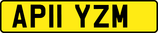 AP11YZM
