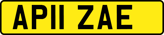 AP11ZAE