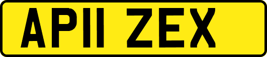 AP11ZEX
