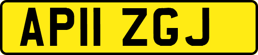 AP11ZGJ