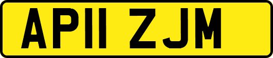 AP11ZJM
