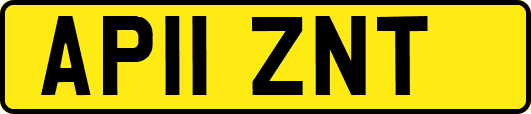 AP11ZNT