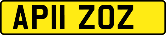 AP11ZOZ