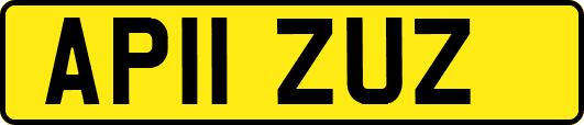 AP11ZUZ