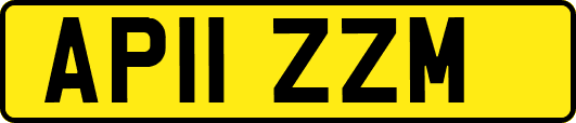 AP11ZZM
