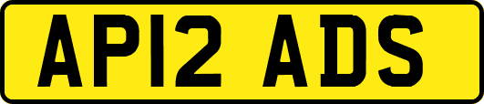 AP12ADS