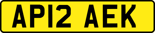 AP12AEK