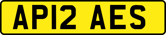 AP12AES