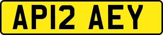 AP12AEY