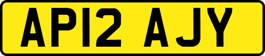 AP12AJY