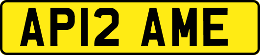 AP12AME