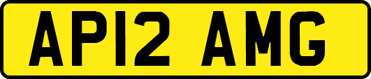 AP12AMG