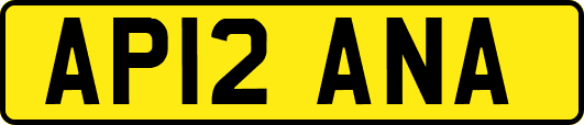 AP12ANA