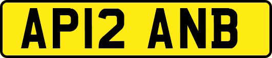 AP12ANB