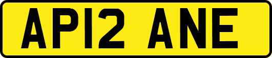 AP12ANE