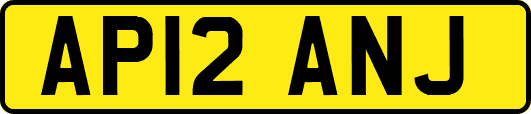 AP12ANJ
