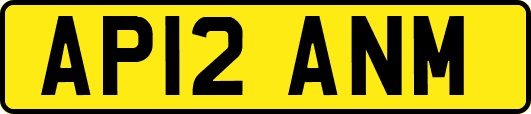 AP12ANM