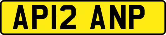 AP12ANP