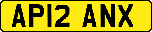 AP12ANX
