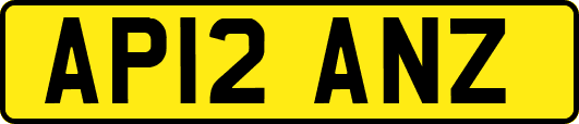 AP12ANZ