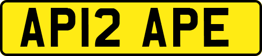 AP12APE