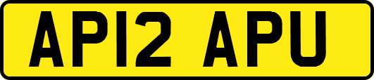 AP12APU