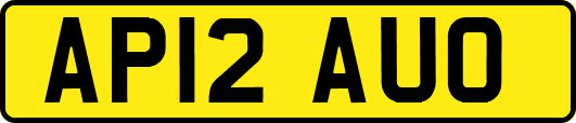 AP12AUO