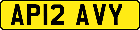 AP12AVY