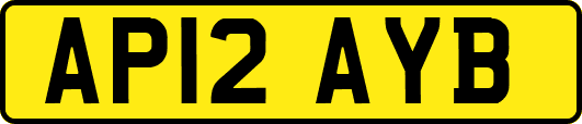 AP12AYB