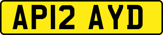 AP12AYD