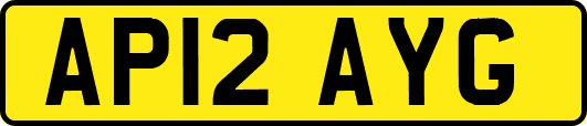 AP12AYG