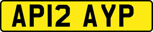 AP12AYP