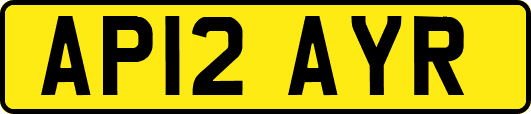 AP12AYR