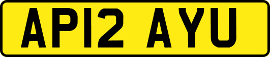 AP12AYU