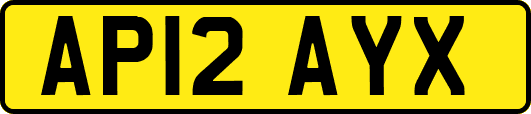 AP12AYX