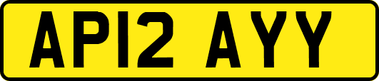 AP12AYY