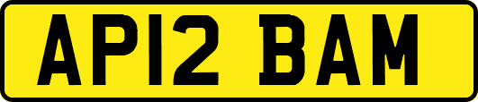 AP12BAM
