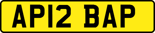 AP12BAP