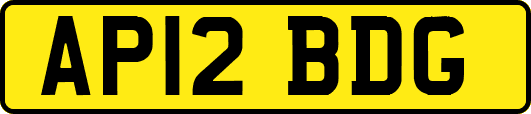 AP12BDG