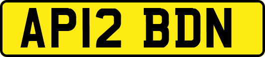 AP12BDN