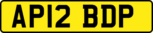 AP12BDP