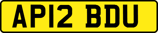 AP12BDU