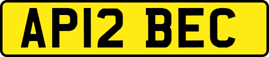 AP12BEC