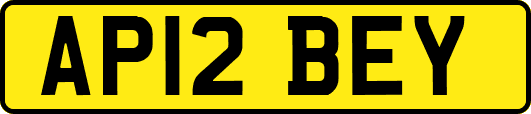 AP12BEY