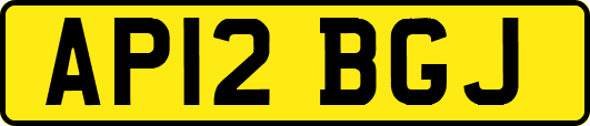 AP12BGJ