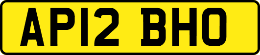 AP12BHO