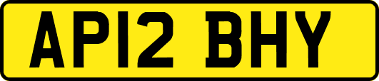 AP12BHY