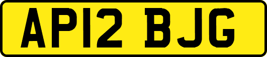 AP12BJG