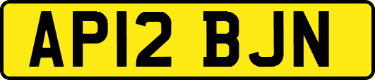 AP12BJN